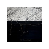 dailyPhoto7